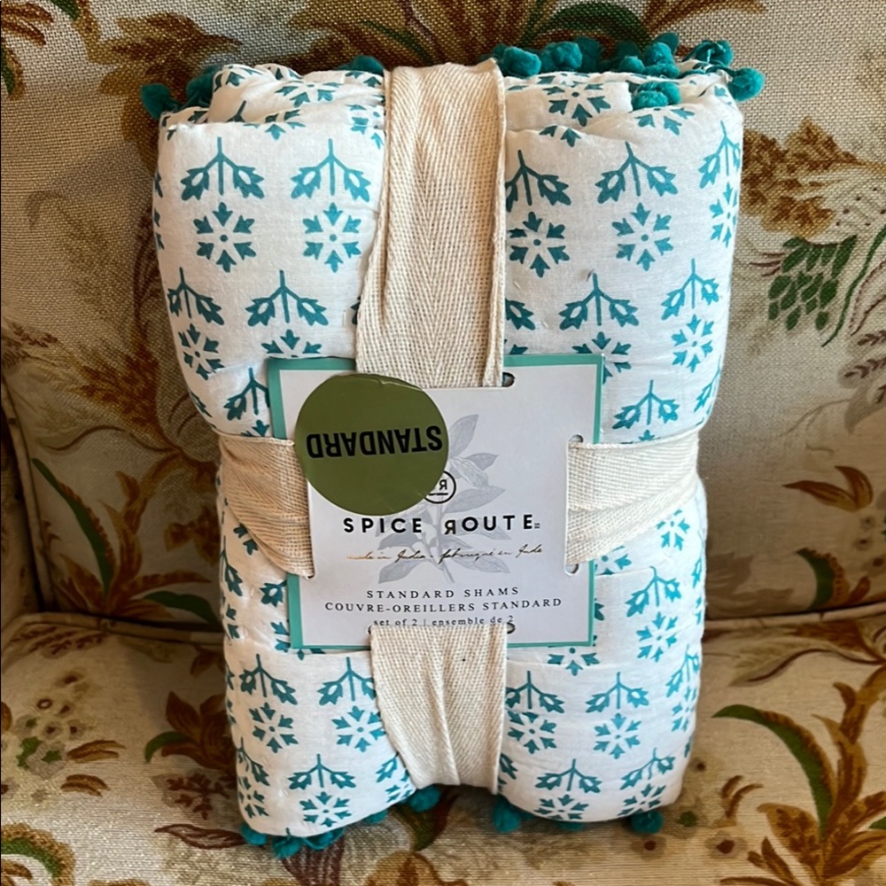 Spice Route Teal and White Standard Shams